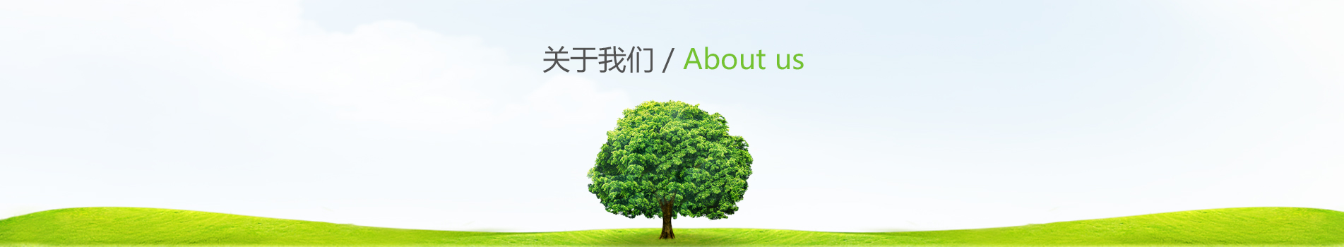 領(lǐng)導(dǎo)團(tuán)隊