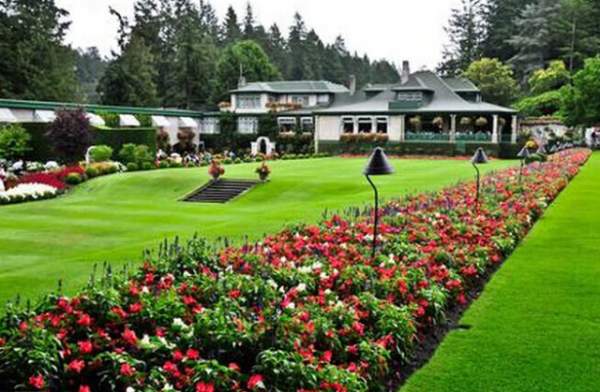 學習國外苗木行業(yè)經(jīng)驗，搶先了解國內(nèi)市場動態(tài)