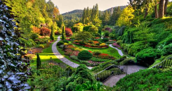 學習國外苗木行業(yè)經(jīng)驗，搶先了解國內(nèi)市場動態(tài)