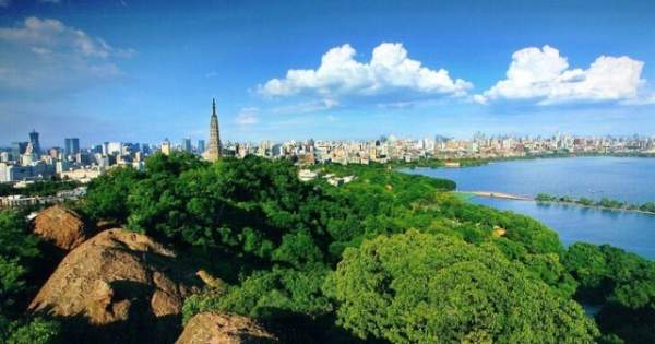 學習國外苗木行業(yè)經(jīng)驗，搶先了解國內(nèi)市場動態(tài)