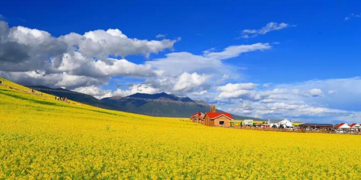 FozNkU8Axll0S9TDIsoQFkU2o7Rv FozNkU8Axll0S9TDIsoQFkU2o7Rv