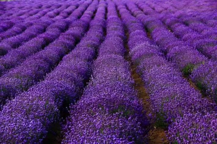 Ftf1kJuOIYMaku4D74V7TQQSxyzo Ftf1kJuOIYMaku4D74V7TQQSxyzo